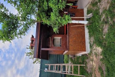 Vand casa cu teren la 65 km de Bucuresti,s-au schimb cu ap 3 camere Bucuresti - 1