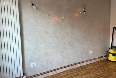 Studio la poalele Cetatii Devei - 8