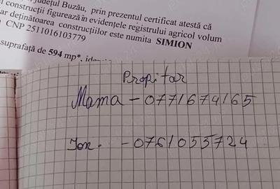 Casă cu Teren 6000 Mp în Viperești - 4