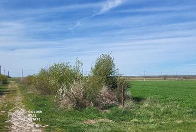 Teren extravilan, 22.5 ha, comuna Maureni - 7