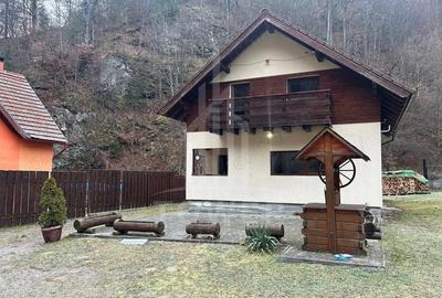 Casă cu Teren 800 Mp în Râu Sadului - 12