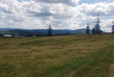 Teren de 160000 mp, în Breaza - 2