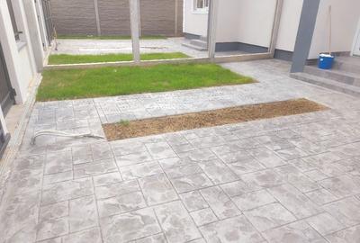 Casă cu 4 camere în Sânmihaiu Român - 8
