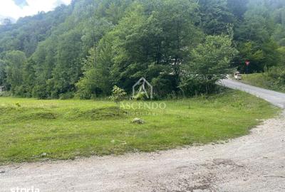 Teren de 4500 mp, în Dâmbovicioara - 8