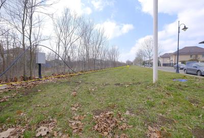 CORBEANCA - Tamasi - Corbeanca Park, 6.688 mp. teren excelent, lipit de padure - 2