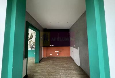 Casa Zona Dorobanti | Floreasca | Curte - 6
