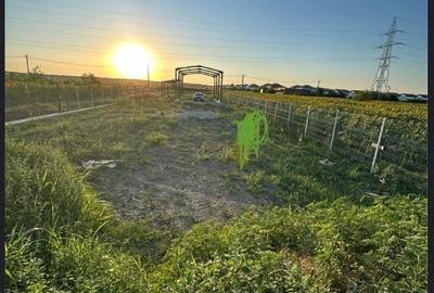 Teren Construcții intravilan de 2000 mp, în Săbăreni - 3