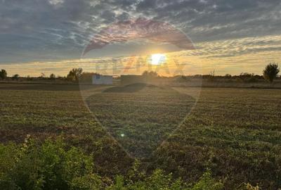 Teren 438mp in Bujac-Arad - 2