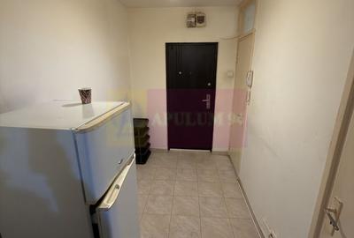 Garsonieră decomandată, mobilată în Valea Ialomiței - 4