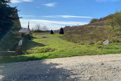 Teren de 2164 mp, în Exterior Vest - 3