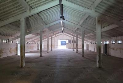 Hale de inchiriat - 1200m2 pana la 7200m2 Teiu Jud Hunedoara langa autostrada - 2