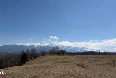 Spațiu comercial, în Peștera - 4