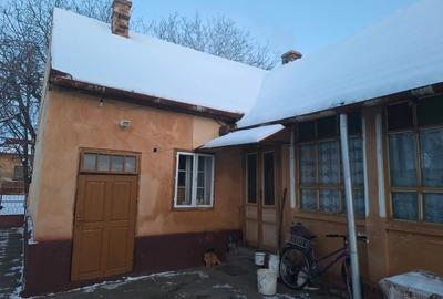 Casă cu 5 camere în Biled - 6