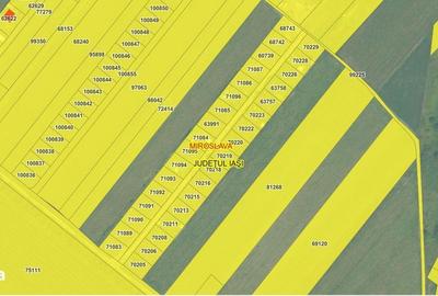 Spațiu comercial, în Proselnici