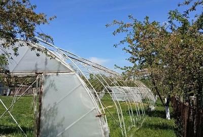 Casă cu 4 camere în Brestovăț - 2