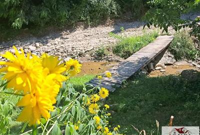 Casa de vanzare in zona Vintu cu 10.790 mp teren - 9