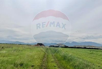 Teren Construcții intravilan de 538 mp, în Hărman - 7