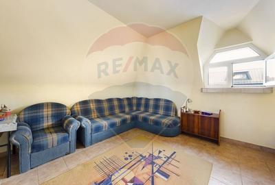 Casa / Vila cu 21 camere de vanzare in zona Alexandriei - 28