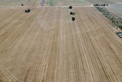 Teren de 10098 mp, în Central - 3