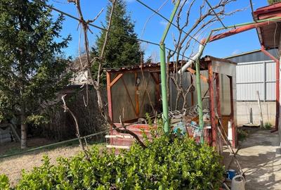 Casa P+M cu toate utilitatile si teren de 468mp in Bariera Valcii - 3