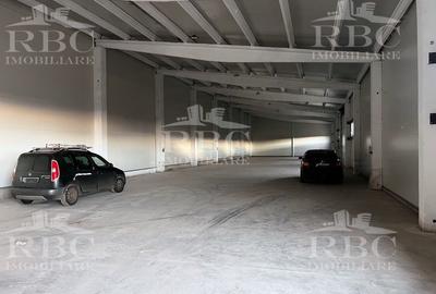 Hala din panouri 864 mp cu platforma betonata B-dul Muncii - 2