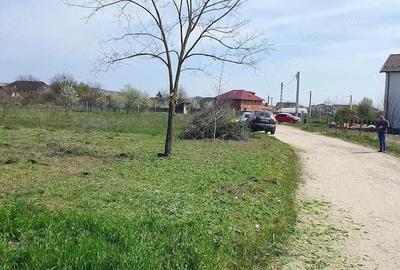 Teren de 500 mp, în Mărăcineni - 1