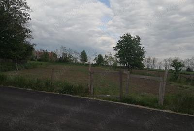 Casă cu 2 camere în Doljești - 3