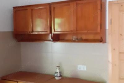 Casă cu 3 camere în Doman - 1