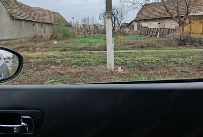 Teren de 500 mp, în Lovrin - 1