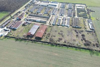 Teren de 10000 mp, în Central - 3