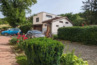 Casa de Vis de vanzare in Brad Spatiu, Liniste si Confort in apropierea Centrului! Casa de Vis de vanzare in Brad Spatiu, Liniste si Confort in apropierea Centrului! - 3