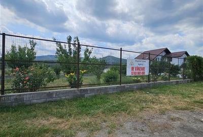 TEREN INTRAVILAN DE VANZARE IN STATIUNEA BALNEOCLIMATERICA TG OCNA ,SUPRAFATA  1 - 9