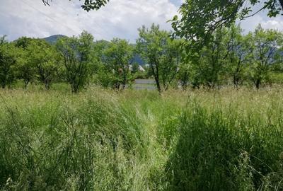 Teren de 1800 mp, în Alexandru cel Bun - 2