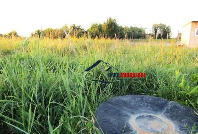 Teren intravilan, construibil, 523 mp, Viforata - Targovist - 4