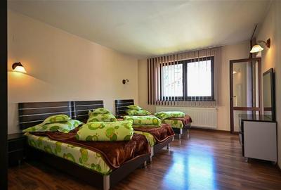 FILM!Resedinta in pretios decor montan, vecinati calitative,1.700 mp teren,Timis - 18