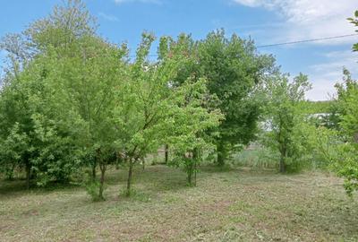 Casă cu 3 camere cu Teren 2038 Mp în Cujmir - 7