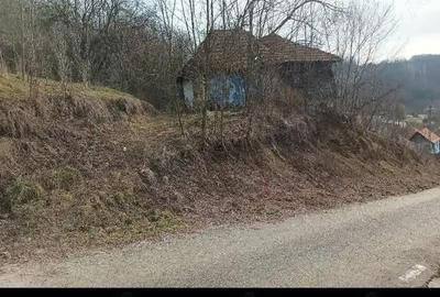 Casă cu 2 camere cu Teren 21000 Mp în Boiu - 5