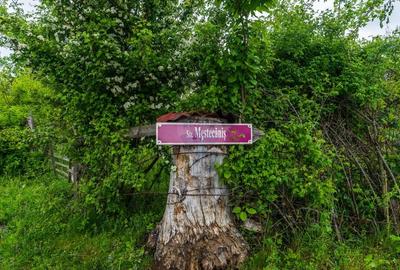 Teren Bran -Sohodol, Strada La mesteceni, 6900mp Teren Bran -Sohodol, Strada La mesteceni, 6900mp - 14