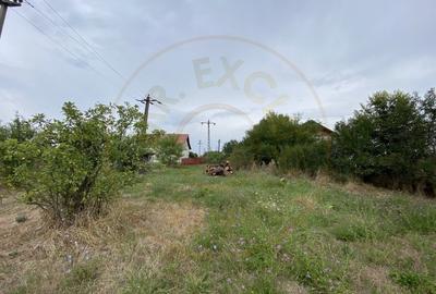 Teren intravilan 1.765 mp in Poiana Lacului, AG - 3