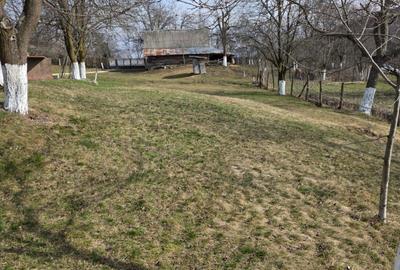 Casă cu 2 camere în Bătrâni - 2