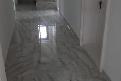 Vanzare proprietate- casa si teren Gheboieni Dambovita - 11