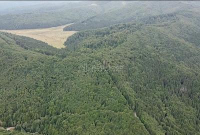 Teren de 69450 mp, în Arefu - 6