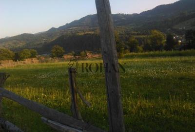 Teren intravilan de 5360 mp, în Tiha Bârgăului - 8