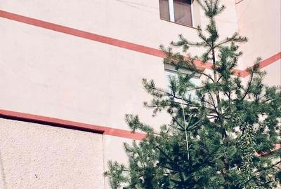 Apartament cu 2 camere decomandat în Precista