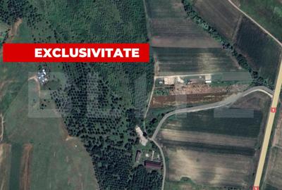 Teren de 5996 mp, în Teiu - 1