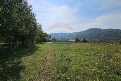 Teren 1,672mp Straja, Comuna Tarcau - 9