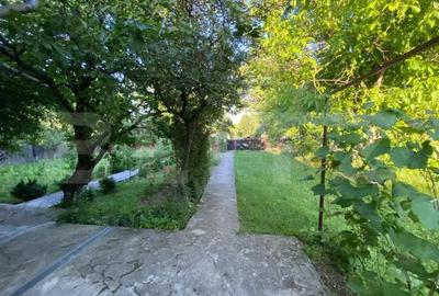 Casa solida de vanzare 120mp, 1840mp teren la strada principala Paun - 2