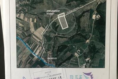 Teren extravilan 150.700 mp loc. Anghelus jud. Covasna