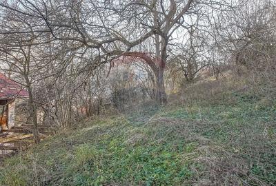 Casă cu 6 camere cu Teren 1000 Mp în Centrul Istoric - 3