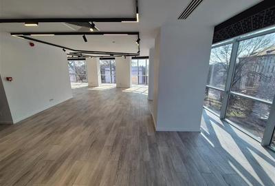 Birou, de 140 mp, în Pache Protopopescu - 2